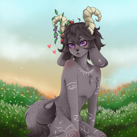 Meio Corpo / Halfbody